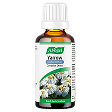 A.Vogel bitters tincture
