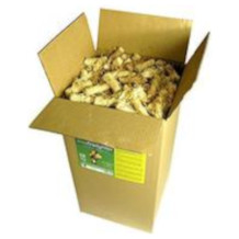 FENIKS firelighter