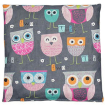 Franzis cherry stone pillow