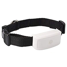 Zeerkeer cat tracker collar