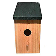 RAM ONLINE bird feeding station