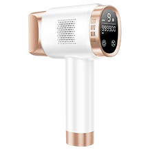 Beauris IPL device