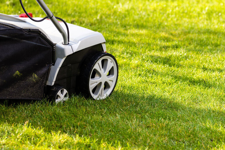 cordless lawn scarifier