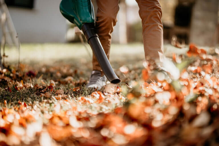 cordless leaf vacuum