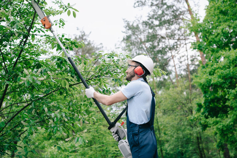 cordless pole saw