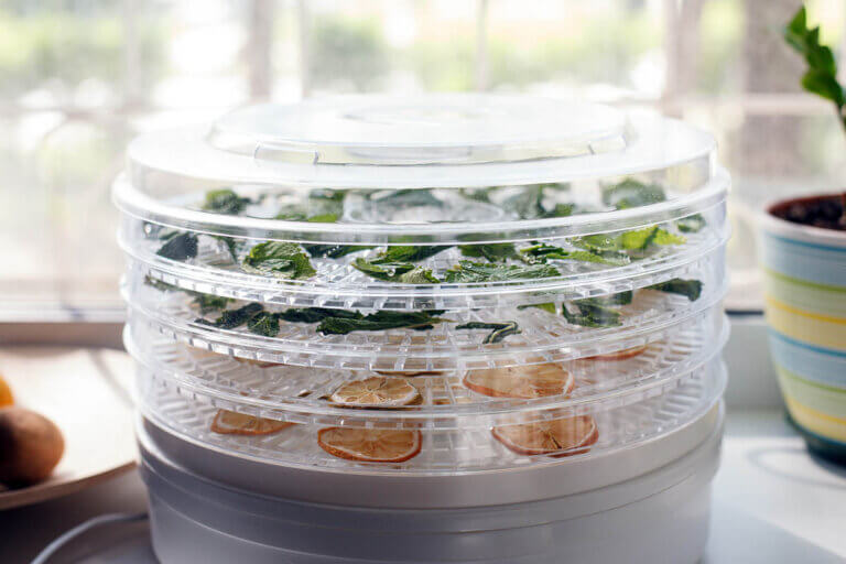 dehydrator