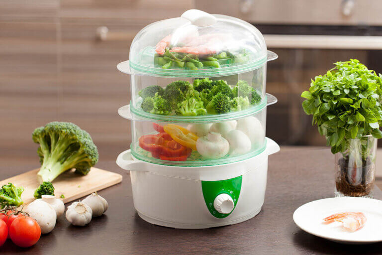 electric food steamer