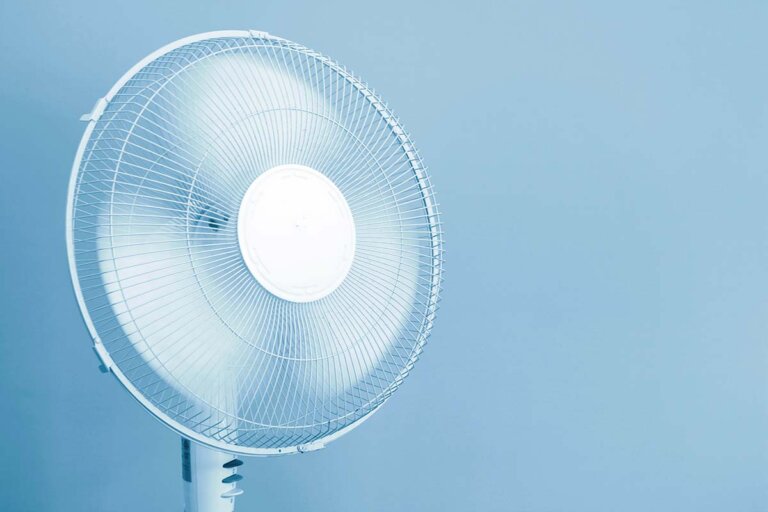 fan