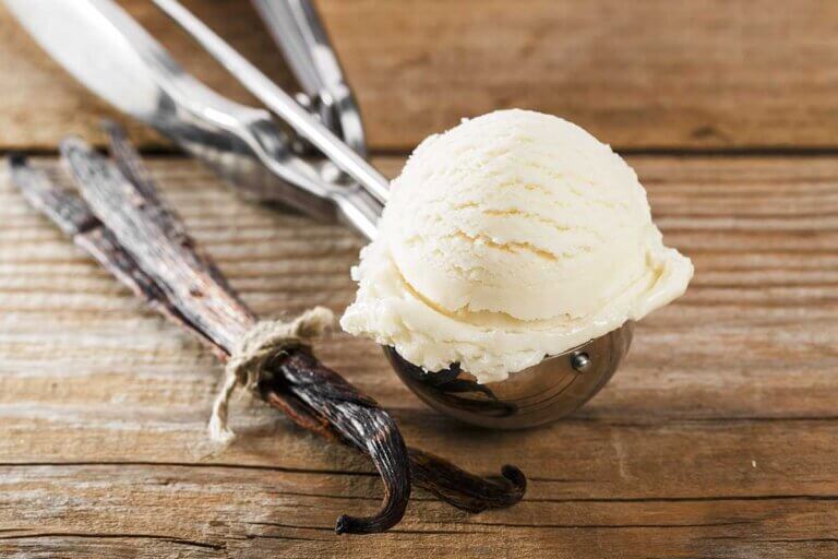 ice cream scoop
