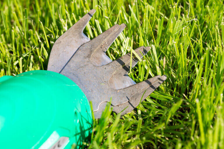 lawn edger