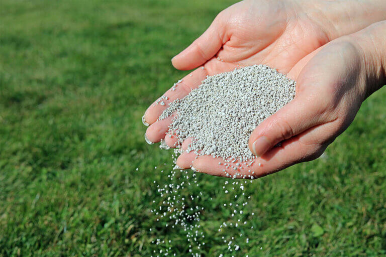 lawn feed