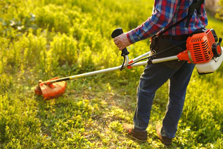 petrol lawn trimmer