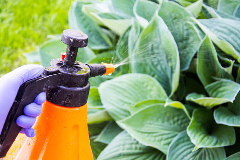 pressure sprayer