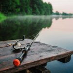 spinning rod