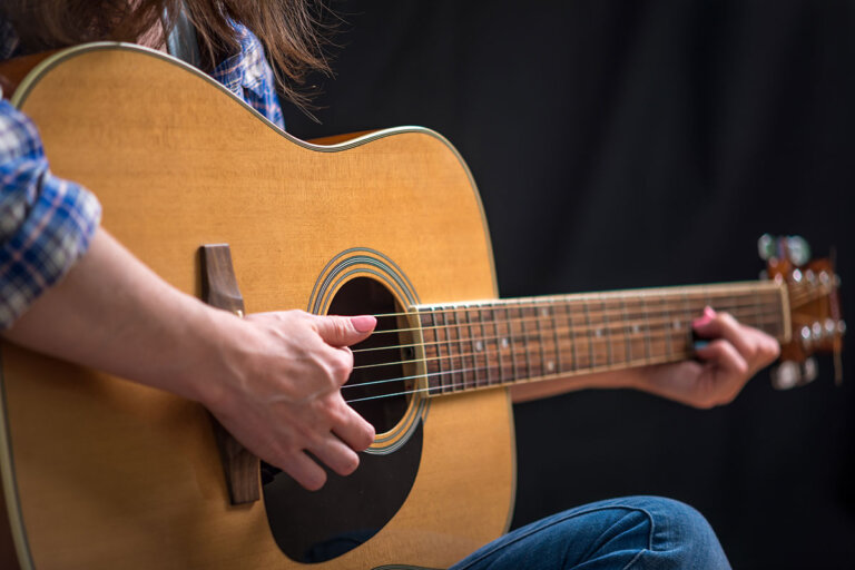steel-string guitar