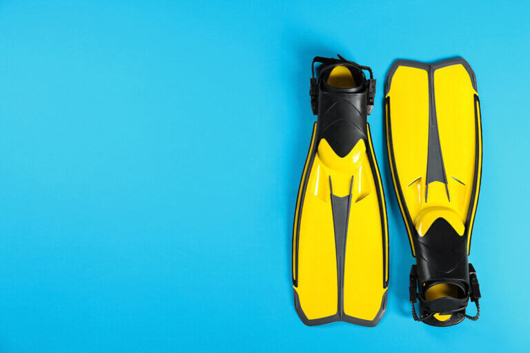 swimming fin