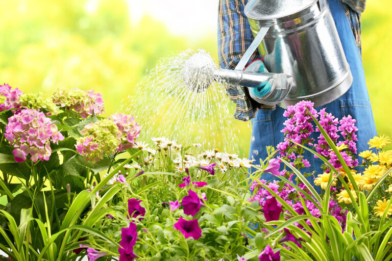 watering can